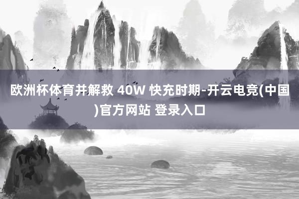 欧洲杯体育并解救 40W 快充时期-开云电竞(中国)官方网站 登录入口